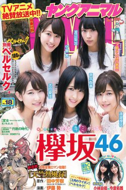 熊出沒奪寶熊兵