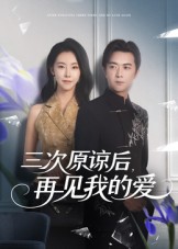 三次原諒后再見我的愛